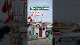 🇩🇰Danmark❤️Thyborøn❤️Fischerboote am Havn🇩🇰❤️danmark travel shorts [upl. by Adnawaj]