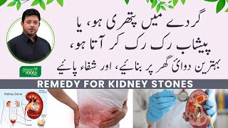 Kidney Stone Treatment with Dr Essa Herbalist Home Remedy  Green Roots [upl. by Echo]