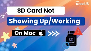 SD Card Not Showing UpWorkingRecognized Mac 2024 [upl. by Saito681]