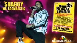 Shaggy  Mr Boombastic  Ruhr Reggae Summer in Dortmund Germany 5102013 [upl. by Otreblig33]