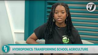 Hydroponics Transforming School Agriculture  TVJ Smile Jamaica [upl. by Chisholm]