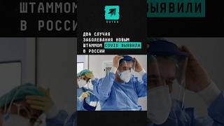 В России выявили два случая заболевания новым штаммом COVID новости поток ковид россия штамм [upl. by Sucramad]