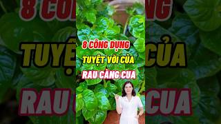 8 Công Dụng Tuyệt Vời Của Rau Càng Cua dinhduong dsdaiminh shorts health [upl. by Sidell758]