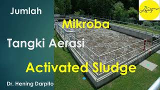 MIKROBA TANGKI AERASI MLSS Activated Sludge [upl. by Oirevas]