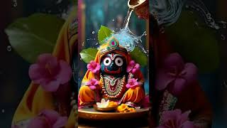 Jay Jagannath shree khetra puri [upl. by Siddra853]