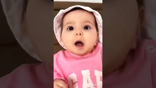 Funny dog 🐶 video 🤷😂 cutebaby funny monkey funnydogs funnybaby cutebabyshorts [upl. by Sello]