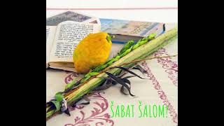 Happy Sukkot ISRAEL [upl. by Noelani]