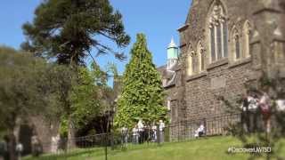 DISCOVER University of Wales Trinity Saint David [upl. by Lemaj]