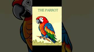 Amazing Parrots [upl. by Faunie363]