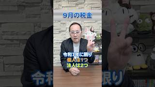 【9月の税金】令和6年2024年版 何があるか、ここで整理しましょう！ 所得税 予定納税 決算 [upl. by Archambault]