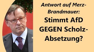 Merz braucht AfDStimmen evtl um Scholz zu stürzen und Kanzler zu werden [upl. by Loyce]