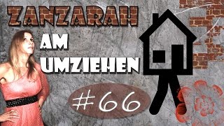 Überraschendes Treffen mit Gniechel 66 Zanzarah am Umziehen Vlog [upl. by Tierney995]