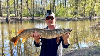 Bank Fishing Spring Pike and Pickerel [upl. by Dene]