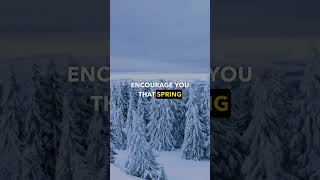 Seasons Change watchthis season change God Jesus christianfaith christianyoutuber viralvideo [upl. by Armilla]