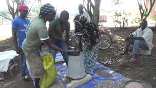 Motherland Rhythm Communitys Benkadi Project 501c3 demonstrating the Universal Nut Sheller [upl. by Swayder419]