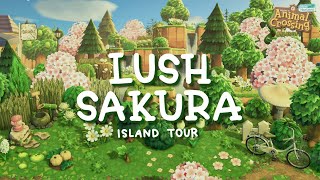 Lush Cherryblossom Forest Island Tour  Animal Crossing New Horizons [upl. by Tarkany]