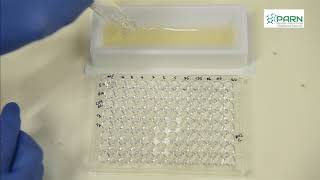 MIC by Microbroth dilution method [upl. by Aivatnwahs]