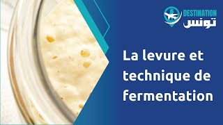 La levure et technique de fermentation [upl. by Liddle]