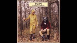 Midlake  Van Occupanther HD [upl. by Eigroeg]