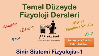 Temel Fizyoloji Dersleri Sinir Sistemi Fizyolojisi1 OrganizasyonSinaptik İletiNörotransmitter [upl. by Earehc]