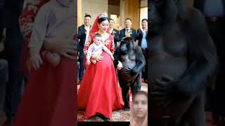 Gorilla fast marriage wife pregnant funny video funny animalhumor monkey funnyanimlas bgm [upl. by Ardena874]