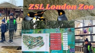 London Zoo tour 2023A day at ZSL London ZooLondon Zoo walking tourLondon AttractionsBlessed Home [upl. by Amehsyt]