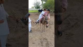 Mery Bachpan k Din villagelife shortvideo viralvideo [upl. by Aeslehs]