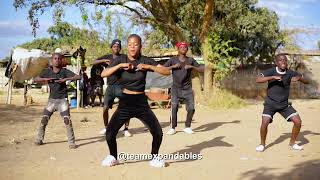 Delroy Shewe  Superstar ft Saintfloew  Dance video [upl. by Gideon]