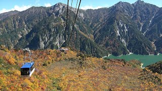 富山｜TOYAMA AUTUMN MOVIE 4K [upl. by Elbas204]