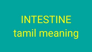 INTESTINE tamil meaningsasikumar [upl. by Dib967]