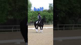 Forward HalfSteps with Natasha [upl. by Vincentia]