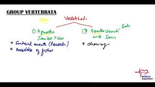 CH 09 LEC 51 Group Vertebrata  Sub Phylum Agnatha amp Gnathostomata [upl. by Desiree979]