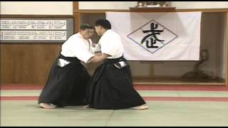 Daito Ryu Tehnike 1 [upl. by Naujek]