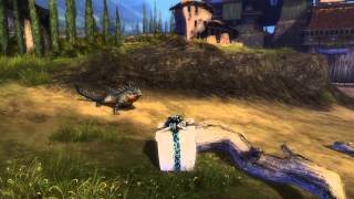 GW2 Endless Gift Box Tonic Collections Reward [upl. by Novj193]