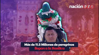 Más de 115 Millones de peregrinos llegan a la Basílica [upl. by Naziaf]