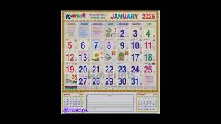 2025 calendar january month [upl. by Gizela]