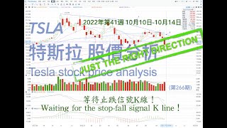 TSLA 特斯拉 股票價格的分析 2022年 第41週 10月10日10月14日（第266期） Tesla K线技术分析 [upl. by Gnouv]