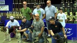 2012 UKC Coonhound World Championship  United Kennel Club [upl. by Mailli]