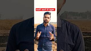 पराली ना जलाये 😯pollution dangerous gas shorts viralvideo [upl. by Shay155]