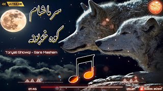 Toryali Showqi  Sare Masham Kawa Khobona  توریالی شوقی  سر ماشام کوه خوبونه [upl. by Trub]