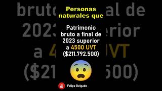 Que PERSONAS NATURALES deben DECLARAR RENTA en 2024 🇨🇴 shorts [upl. by Haik229]