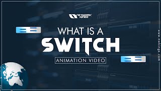 What is Switch in Networking Network Switches in CCNA [upl. by Frydman175]