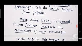 How Pepsinogen is Converted in to pepsin Ch16 Digestion CLASS 11 BIOLOGY [upl. by Pratt]