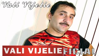 Vali Vijelie si Petrica Cercel  Femeie rea [upl. by Torie519]