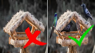 Vogelhaus kein Vogel kommt – Ursachen amp Lösung  Vögel zum Vogelhaus locken und füttern – Tipps [upl. by Deryl807]