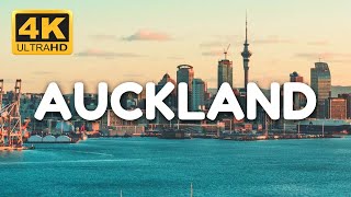 Auckland New Zealand 2024  Full Travel Guide [upl. by Willman721]