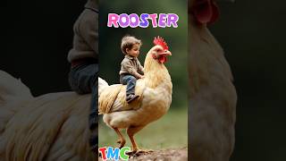 Rooster Song musicforkid song childrensmusic [upl. by Iva207]