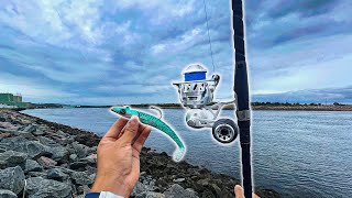 Shore JIGGING GIANT SWIMBAITS Stripers amp Bluefish In CAPE COD CANAL [upl. by Yztim754]