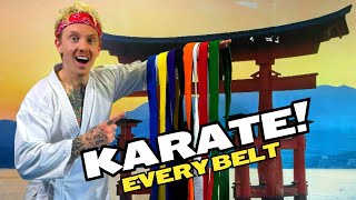 Every Karate Belt  Rating [upl. by Frankie193]