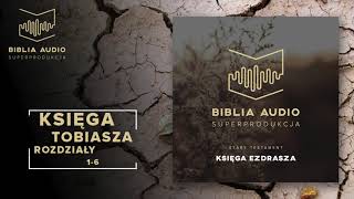 BIBLIA AUDIO superprodukcja  17  Księga Tobiasza  rozdziały 16  Stary Testament [upl. by Nathaniel540]